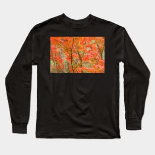 Japanese Maple Long Sleeve T-Shirt